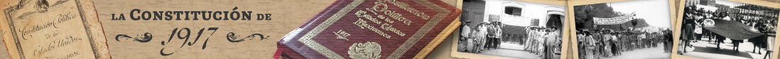 Banner Constitucin