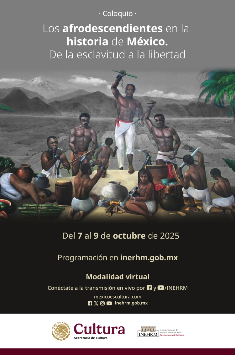 Los Afrodescencientes