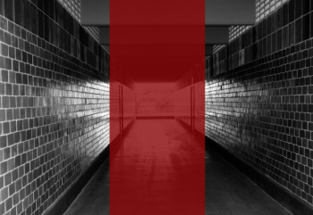 Seminario Enseñanzas